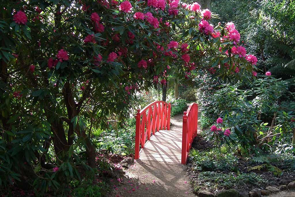One of the red bridges at the gardens