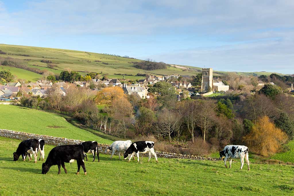 A view of Abbotsbury village and surrounding countryside with St Nicholas' Church on the right