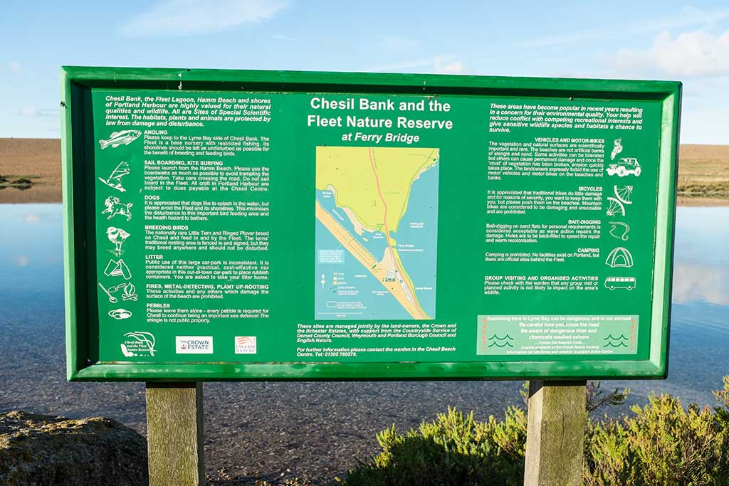 Abbotsbury Beach - Chesil Bank and Fleet Lagoon - Visit Dorset