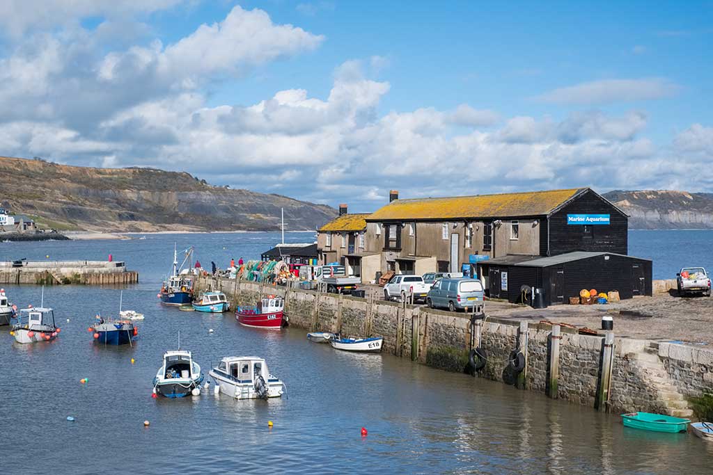 Lyme Regis Marine Aquarium