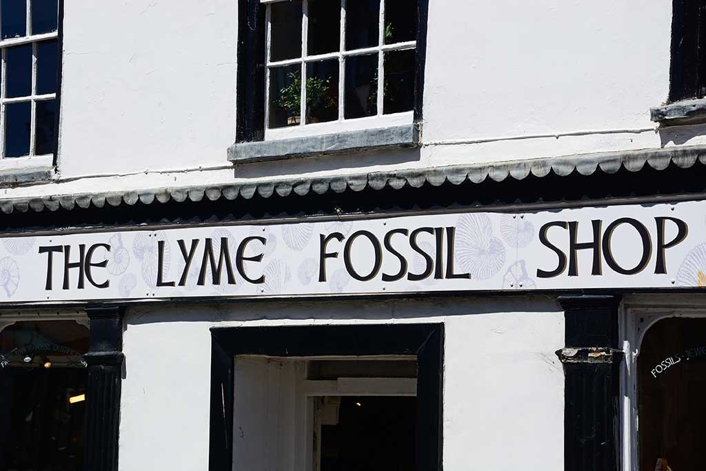The Lyme Regis Fossil Shop