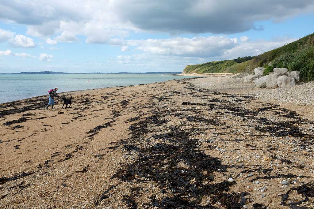 Ringstead Bay Beach Dorset Guide