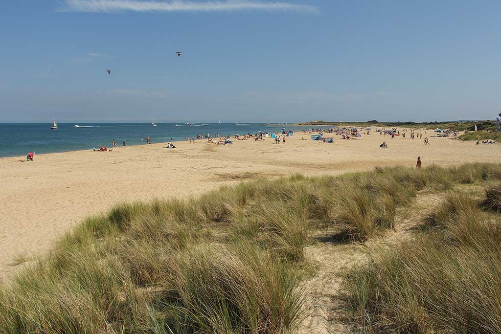 Shell Bay Beach Studland - Dorset Guide