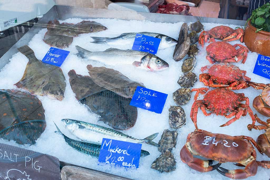 Fresh fish and seafood in the shop window of the Salt Pig